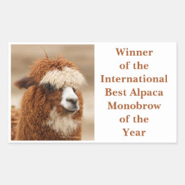 Best Alpaca Monobrow Rechthoekige Sticker