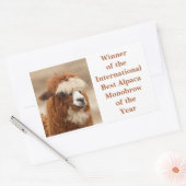 Best Alpaca Monobrow Rechthoekige Sticker (Envelop)