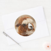 Best Alpaca Monobrow Ronde Sticker (Envelop)