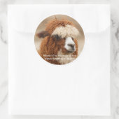 Best Alpaca Monobrow Ronde Sticker (Tas)