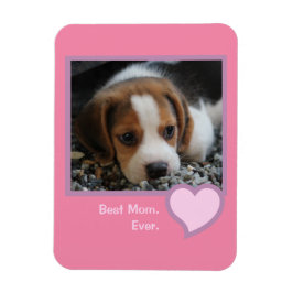 Best Beagle Mam ooit roze Text Pet Dog Foto Magneet