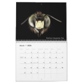 Best Bee Calendar 2020 met foto's & beschrijvingen Kalender (Mar 2026)