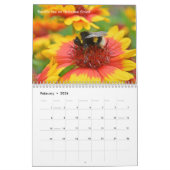 Best Bee Calendar 2020 met foto's & beschrijvingen Kalender (Feb 2026)