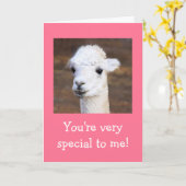 Best Birthday Ever Llama Kaart (Gele Bloem)