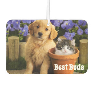 Best Buds Air Freshener Luchtverfrisser