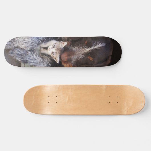 Best Buds SkateBoard (Horizontaal)