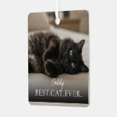 Best Cat Ever Your Pet Name And Photo  Metalen Ornament (Voorkant links)