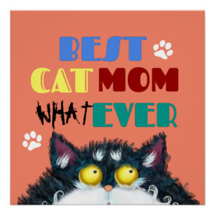 Best Cat Mam Ever   Gekke kat Lovers Funny Perfect Poster