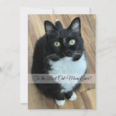 Best Cat Mam Ever Kaart moederdag (Voorkant)
