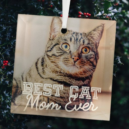Best Cat Mam Ever Moderne Custom Pet Foto Glas Ornament