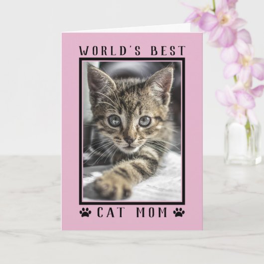 Best Cat Mam Happy Birthday Foto Roze Kaart (Orchidee)
