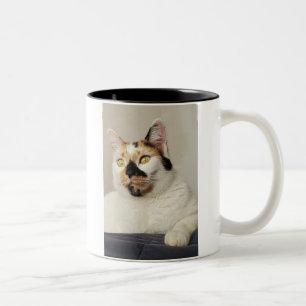 Best Cat Mam Photo Tweekleurige Koffiemok