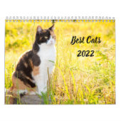 Best Cats Kalender (Hoes)