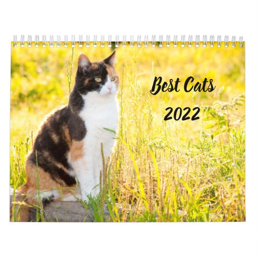 Best Cats Kalender (Hoes)