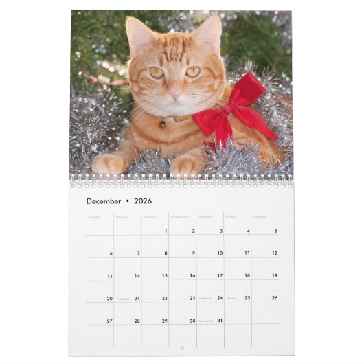 Best Cats Kalender (Dec 2026)
