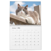 Best Cats Kalender (Jan 2026)