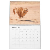 Best Cats Kalender (Feb 2027)