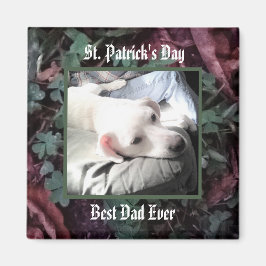 Best Dad Cute Dog Shamrocks and Clovers Green Magneet