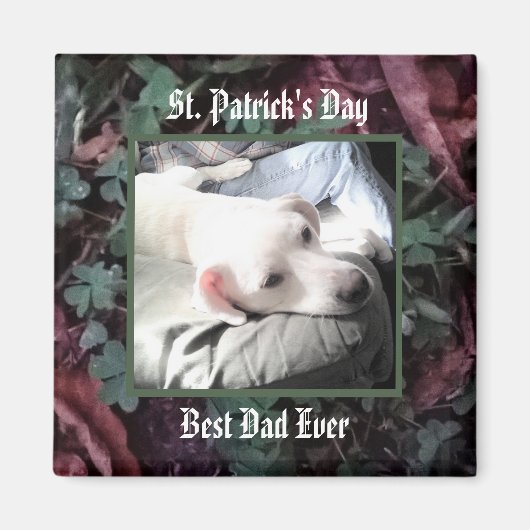 Best Dad Cute Dog Shamrocks and Clovers Green Magneet (Voorkant)