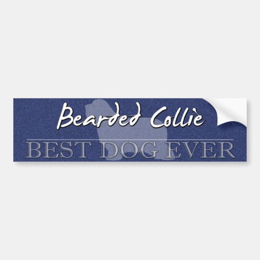 Best Dog Bearded Collie Bumpersticker (Voorkant)