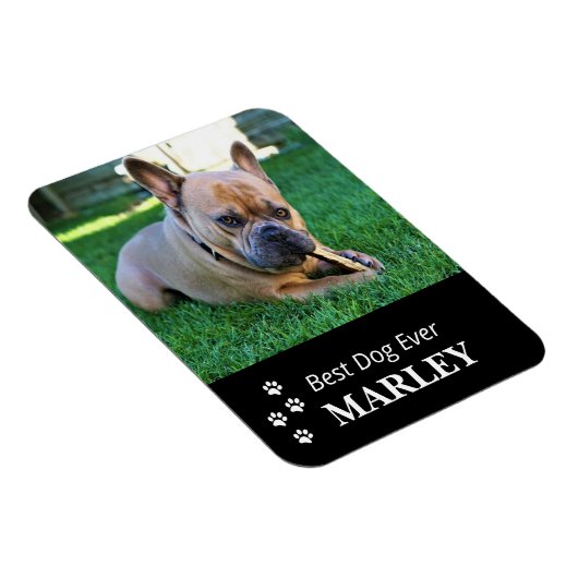 Best Dog Ever Flexible Photo Magnet Magneet (Rechterzijde)