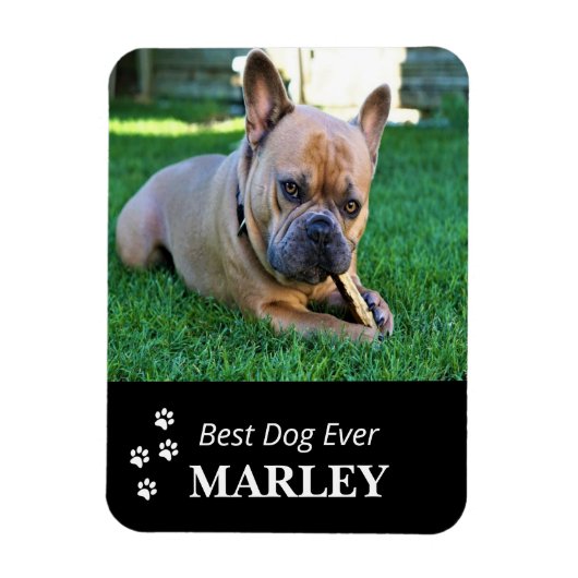 Best Dog Ever Flexible Photo Magnet Magneet (Verticaal)