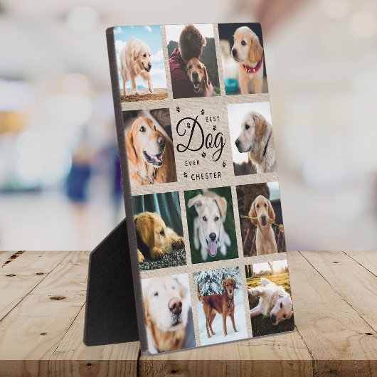Best Dog Ever Memorial Rustic Photo Collage Paw Fotoplaat