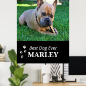 Best Dog Ever Poster (Thuiskantoor)