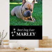Best Dog Ever Poster (Keuken)