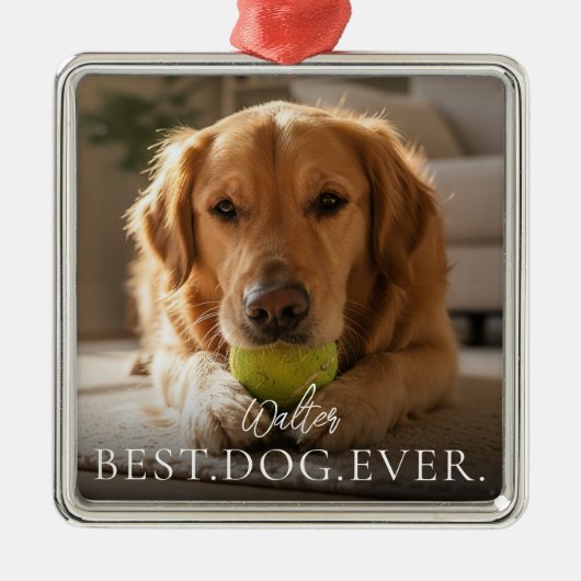 Best Dog Ever Your Pet Name And Photo  Metalen Ornament (Voorkant)