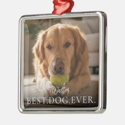 Best Dog Ever Your Pet Name And Photo Metalen Ornament (Links)