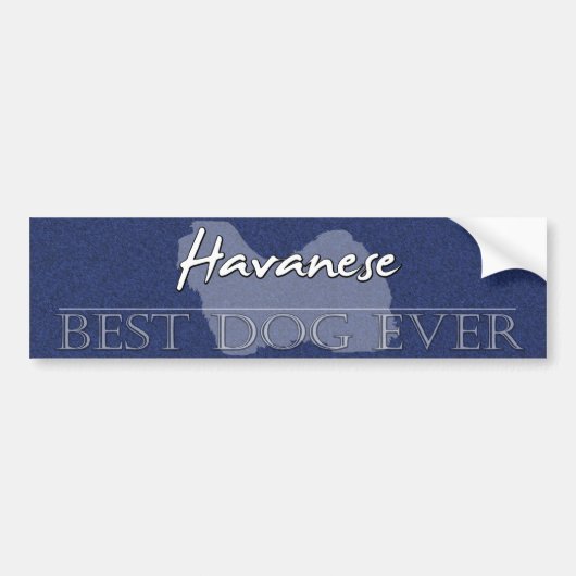 Best Dog Havanese Bumpersticker (Voorkant)