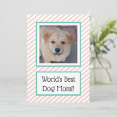 Best Dog Mam Coral Striped (Staand voorkant)