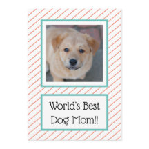 Best Dog Mam Coral Striped