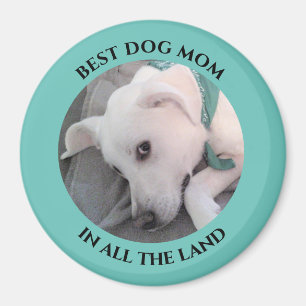 Best Dog Mam Foto van Cute White Puppy Dog Blue Ma Magneet