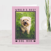 Best Dog Mam Happy Birthday Foto Roze Kaart (Voorkant)