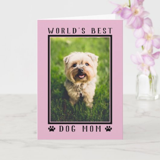 Best Dog Mam Happy Birthday Foto Roze Kaart (Orchidee)