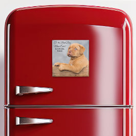 Best Dog Mam ooit  Photo Magnet