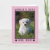 Best Dog Mam Pink Moederdag Foto Kaart (Voorkant)
