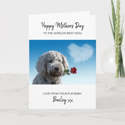 Best Dog Mam Red Rose Persoonlijk Moederdag Feestdagen Kaart (Voorkant)