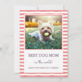Best Dog Mam Striped | Koraal | Foto-Moederdag Kaart (Voorkant)