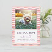 Best Dog Mam Striped | Koraal | Foto-Moederdag Kaart (Staand voorkant)