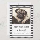 Best Dog Mam Striped | Zwart | Foto-Moederdag Kaart (Voorkant)
