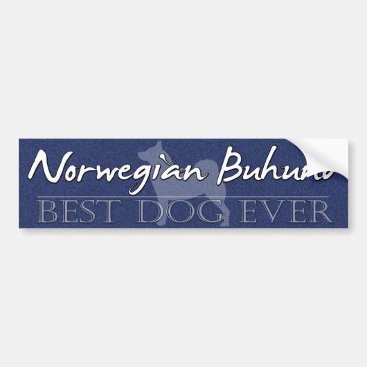 Best Dog Norway Buhund Bumpersticker (Voorkant)