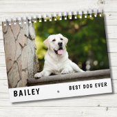 Best Dog Photo Kalender