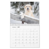 Best Dog Photo Kalender (Jan 2027)