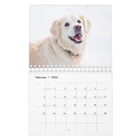 Best Dog Photo Kalender (Feb 2026)