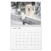 Best Dog Photo Kalender (Jan 2026)