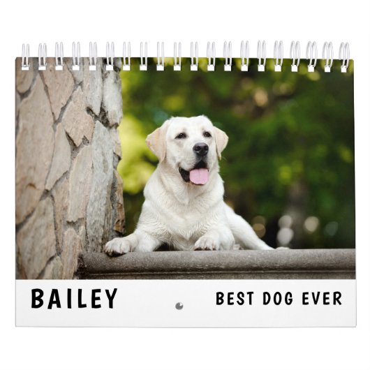 Best Dog Photo Kalender (Hoes)