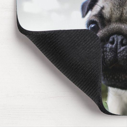 Best Dog Photo Muismat (Hoek)